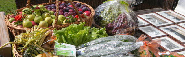 Mahetoitu pakkuvad haridusasutused hakkavad toetust saama