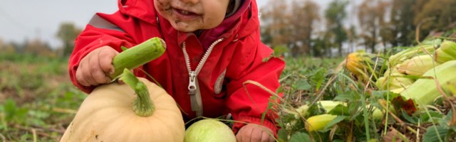 Mart Kase: ilma hirmuta edasi