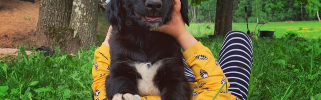 Mart Kase: ärge ehitage maju, lamage murul