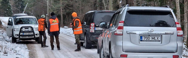 Jahimees: Hakka või  metssigu juurde kasvatama