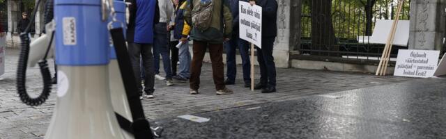 POLIITKOLUMNIST | Jana Toom: avaliku aktiivsuse vaigistamine on oht demokraatiale