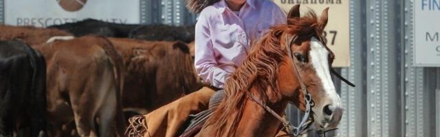 Personalijuht haarab ohjad