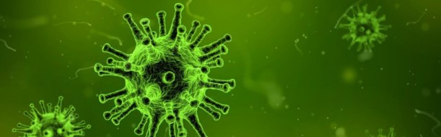 Maailmas on vähemalt kaht tüüpi elusolendeid, kes toituvad viirustest