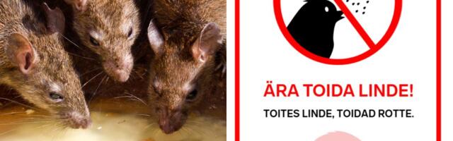 Lasnamäel algas 22 asukohas kevadine rotitõrje