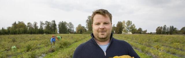 Oled maitsnud? Põhjamaine sidrun ehk ebaküdoonia läheb Eestis üha rohkem hinda