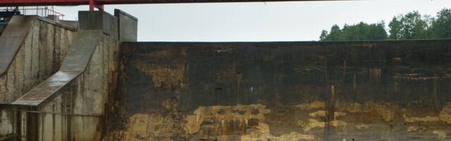 Teadlane: avame kaladele rändeteed ehk likvideeriks mõned paisud