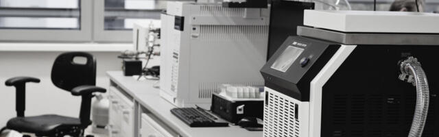 Euroopa Teadusnõukogu grandi toel mõtestatakse ümber küttimise ja koriluse roll rahvastiku kiires kasvus