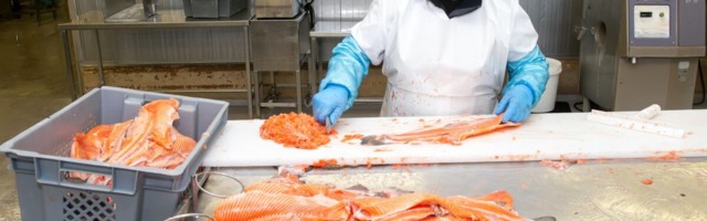 Kalatootja PRFoods kinnitas kahjumi