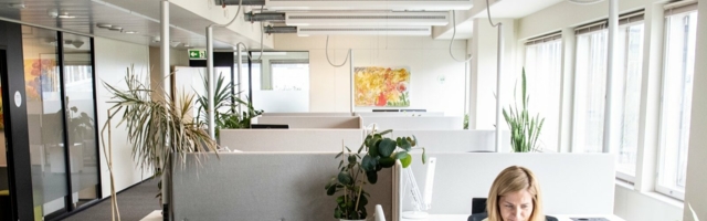 Tagasi kontorisse? Tänan, ei!