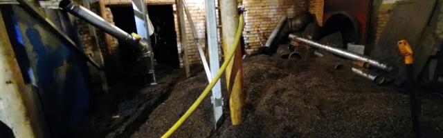 Päästjate ööpäev: põleng kuivatis, toidu kõrbemine, hätta jäänud vanem mees ja murdnud puud