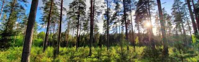 Ülikool: Kliimaministeeriumi algatatud seaduste muudatused on ärevust tekitavad