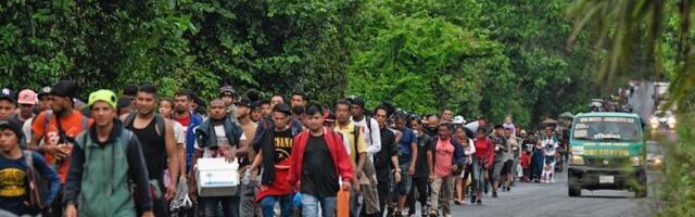 Мигранты торопятся попасть в США до прихода к власти Трампа