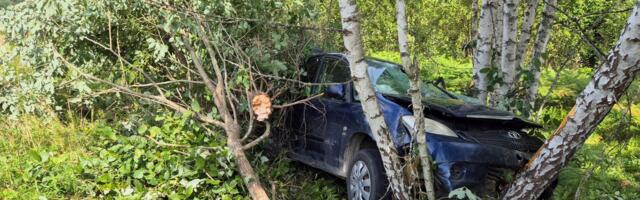 Lõuna-Eesti päästjatel oli töine nädalavahetus