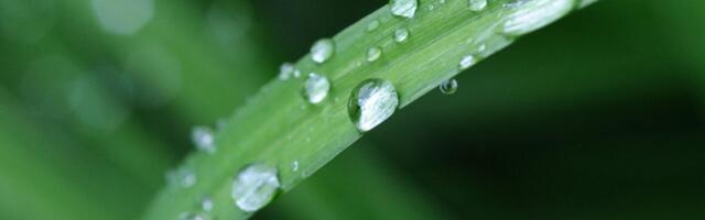 KIK avas aasta esimesed keskkonnaprogrammi taotlusvoorud