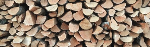 Mart Kase: inimene tahab oma puuriita