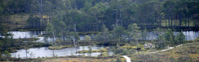 KAHJUSTATUD LOODUSE TAASTAMINE SAAB UUE HOO