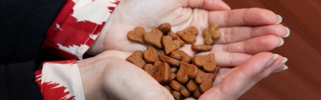 Kalamaja muuseumis saab küpsetada ja imetleda jõulusõime