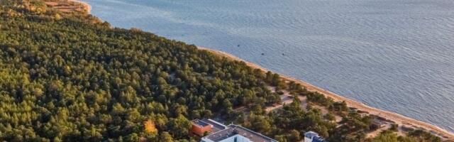 Inspireerivad kohtumised Laulasmaa mändide all