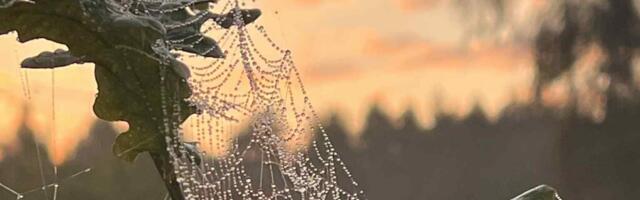 AHTO ILMAJUTUD | Suvi saab läbi