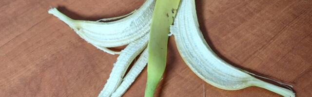 Kõige kallim asi, mida prügikasti visata, on banaaninkoor