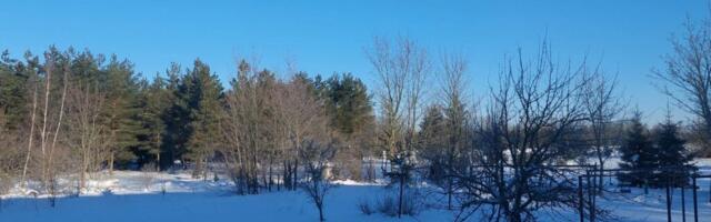 ILM 3. märts-7. märts: