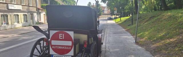 Andro Roos: Kas Tartu linn tegeleb vargusega ja töötab rohelisele mõtlemisele vastu?