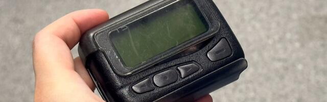 PUUST JA PUNASEKS | Mis on piipar?