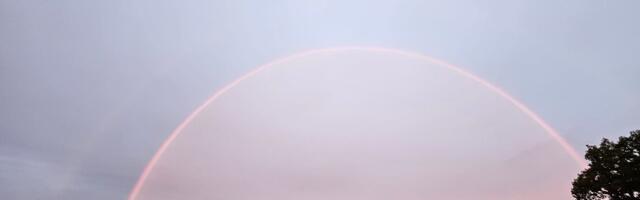 Sandra Tammets NÄDALA FOTO