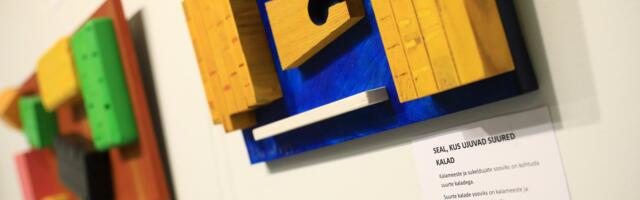 GALERII: Tartu Ülikooli Delta keskuses avati nõukogudeaegsetest sektsioonkappidest inspireeritud näitus “Mööbel murrab laia maailma”