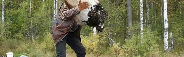 MEEDIAVALVUR: ulg kaaviari molli ees lõppeb katkise künaga