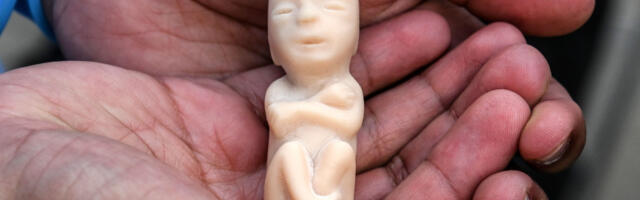 Euroopa Parlament soovib laiendada sündimata laste tapmise turismi "õigust"