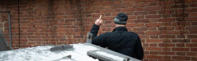 Eget Velleste: miks on Eestis kevadekuulutajateks nokad ja nokud?