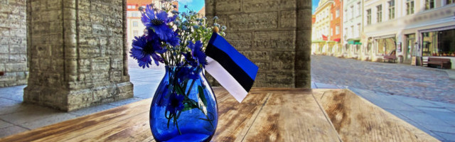 Pole just suurim kilufänn? Siin on vahvaid ideid õhtuseks peolauaks