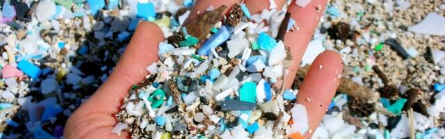 Mikroplastikud on päriselt inimestele ohtlikud_ need suurendavad infarkti- ja surmariski