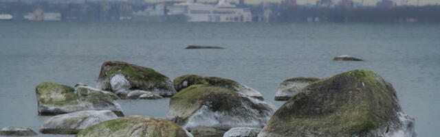 Riho Sinisalu NÄDALA FOTO