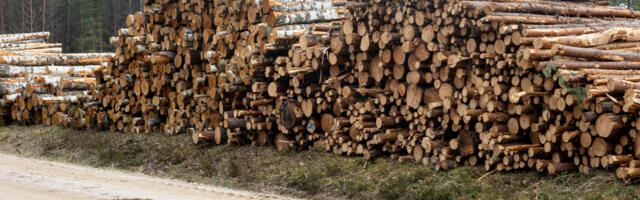 15 aastat tegutsenud puidumüüja Firewood Northern Europe langes pankrotti