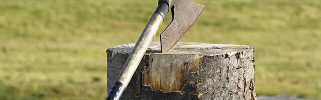 KOLUMN ⟩ Jüri Kotšinev: valimiste võitja