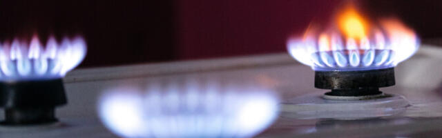 Elenger langetab veebruarist veidi gaasi hinda