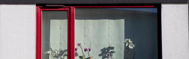 Kodulaenude võtmine tegi märtsis järsu hüppe