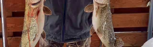 KOHA NIMETATI EESTI 2024. AASTA KALAKS