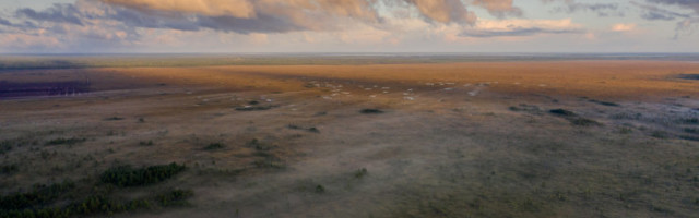 Ornitoloogiaühing asus võitlusse Elbu rabasse lubatud turbakaevanduse vastu