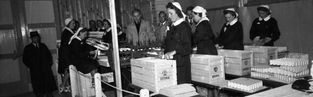 Pätsi ajal toodeti Eestis sada miljonit kanamuna aastas