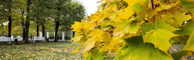 OKTOOBRI ILM | Kas esimene lumi saabub porikuu lõpus?