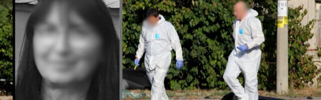 JEZIVA SUDBINA OMILJENE UČITELJICE IZ PIROTA Udario je automobil na pešačkom ispred škole, nepomičnu na putu prvi zatekao njen učenik