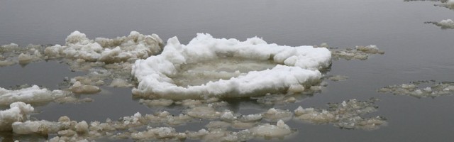 Narva piirivalvurid päästsid inimtühjalt saarelt kaks teismelist poissi