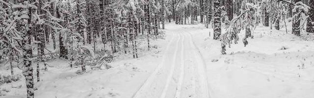 Raasiku valla suusapäev