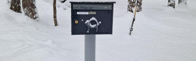 Postikullerite palve: palun puhastage postkastid ja nende ümbrus lumest