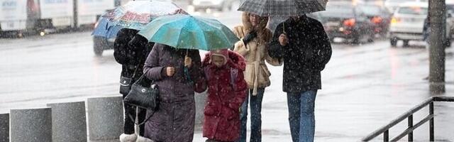 В среду ожидаются дожди и мокрый снег, 0...+5