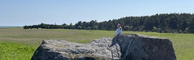 KIRI VAHASEMAALT | Vahase-maa, mitte saar