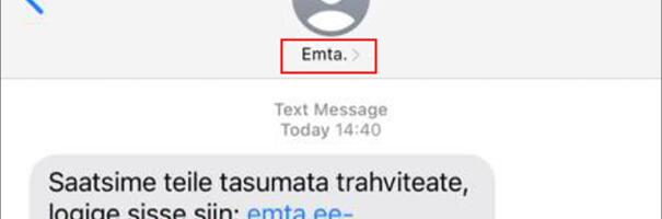 Pühade ajal üritati inimestelt raha välja petta eelkõige petukirjade ja õngitsuslehtedega